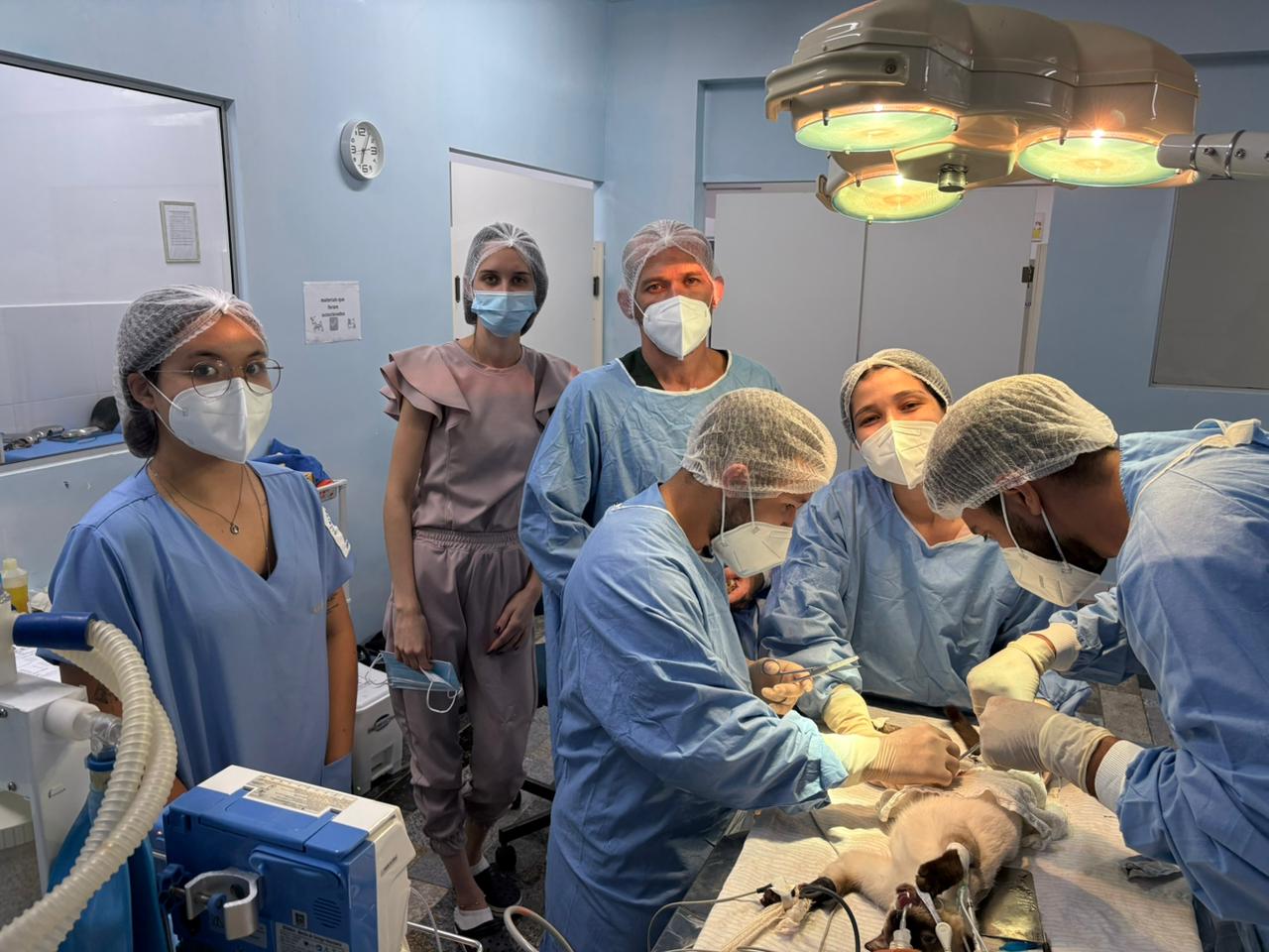 Cirurgia no Estágio.